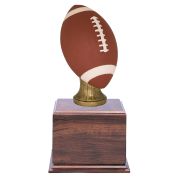 Large Color Football Perpetual Cherry Trophy